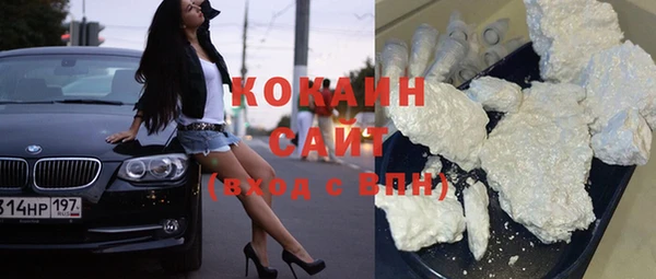 индика Зерноград