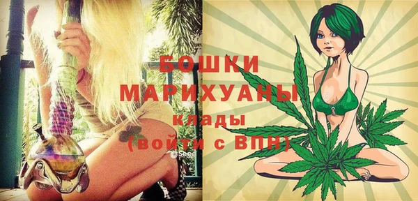 индика Зерноград