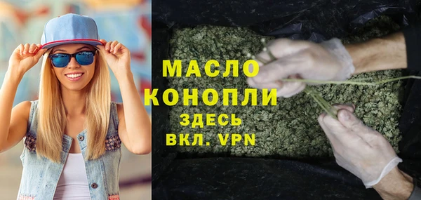 индика Зерноград
