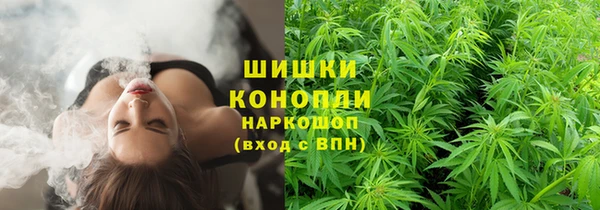 индика Зерноград
