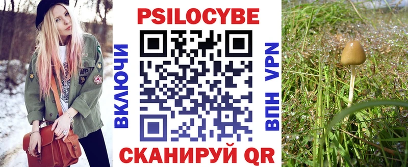 Галлюциногенные грибы GOLDEN TEACHER  Щигры 